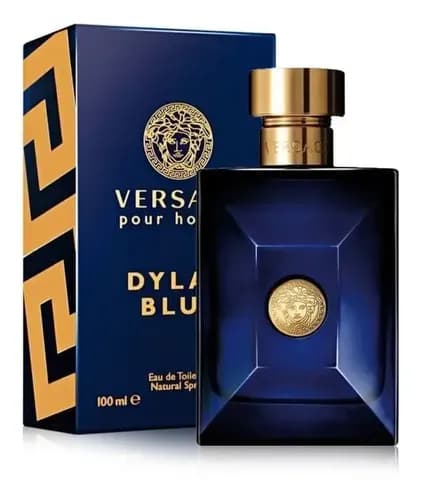Versace Dylan Blue Pour Homme EDT 100 ml